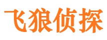 点军侦探